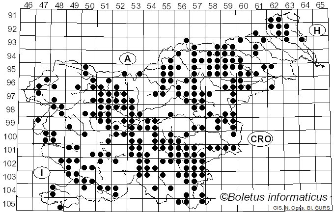 <i>Amanita pantherina</i> (DC.) Krombh.