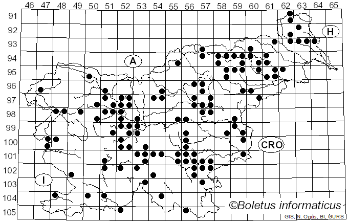 <i>Ramaria botrytis</i> (Pers.) Ricken (1918)