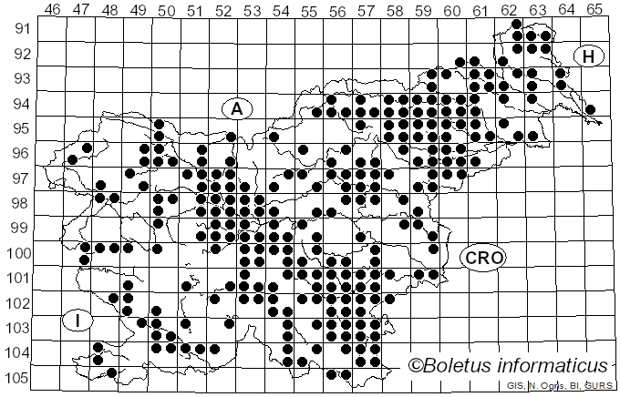 <i>Pluteus cervinus</i> (Schaeff.) P. Kumm. (1871)