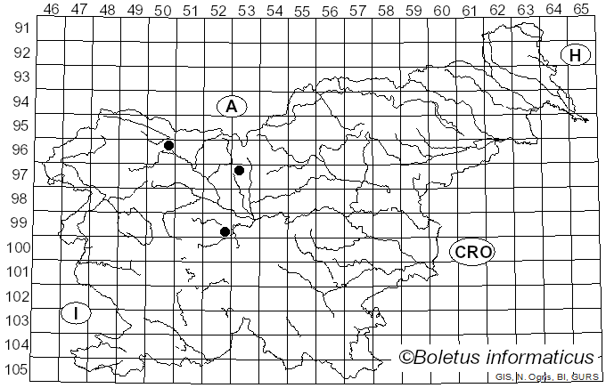 <i>Cytospora salicis</i> (Corda) Rabenh. (1844)