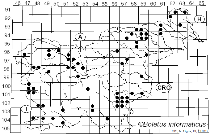 <i>Tephrocybe</i> Donk (1962)