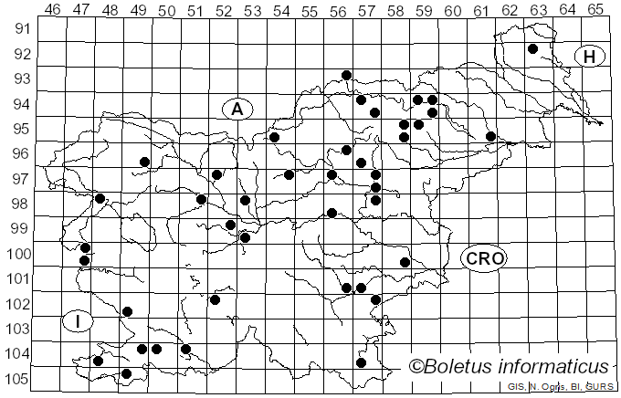 <i>Tyromyces lacteus</i> (Fr.) Murrill (1907)