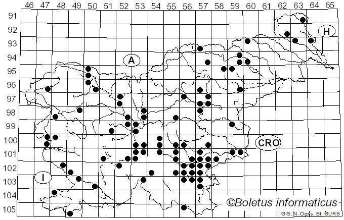 <i>Amanita franchetii</i> (Boud.) Fayod