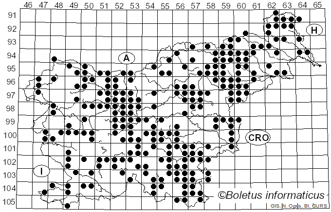<i>Schizophyllum commune</i> Fr. (1815)