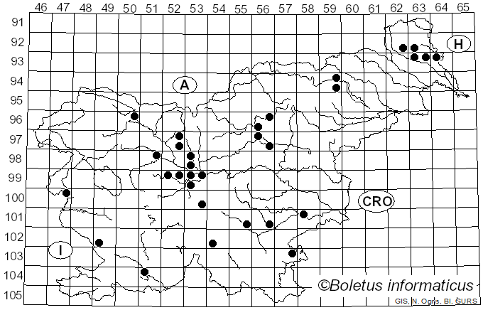 <i>Trametes quercina</i> Lloyd (1922)