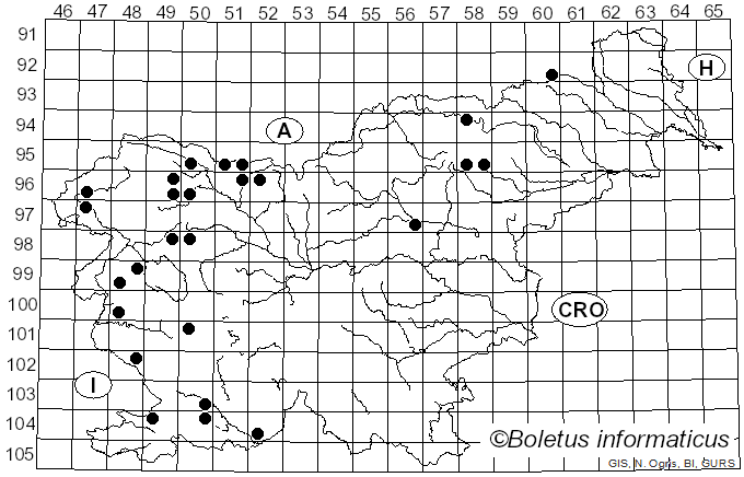 <i>Protostropharia</i> Redhead, Moncalvo & Vilgalys (2013)
