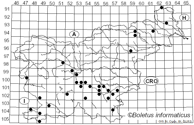<i>Aureoboletus moravicus</i> (Vaček) Klofac (2010)