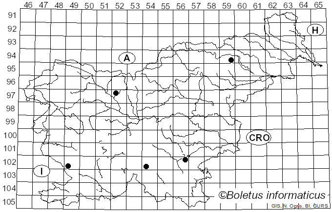 <i>Lepiota ochraceofulva</i> P.D. Orton (1960)