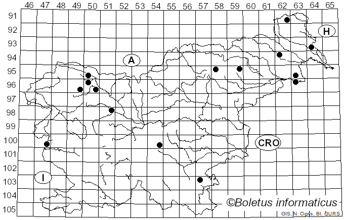 <i>Orbilia</i> Fr. (1849)