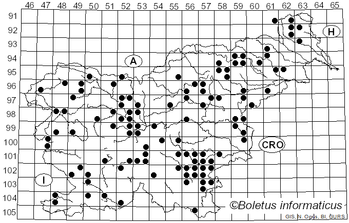 <i>Clavulina cinerea</i> (Bull.) J. Schröt. (1888)