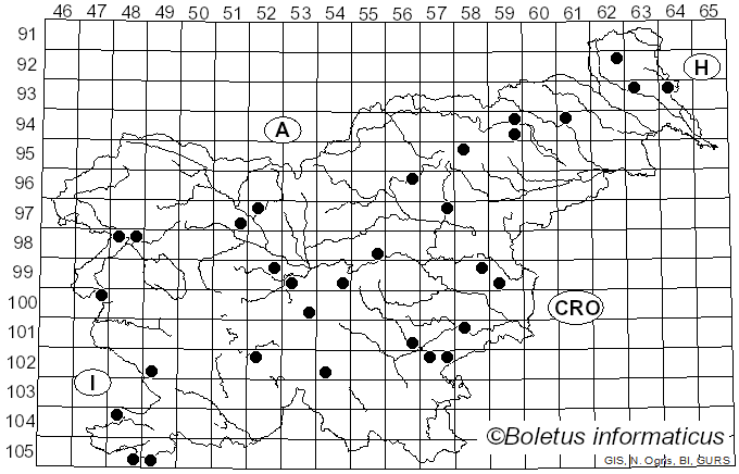 <i>Tricholoma bresadolanum</i> Clémençon (1977)