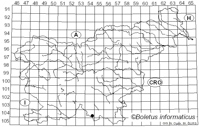 <i>Pseudoinonotus tibeticus</i> (Y.C. Dai & M. Zang) Y.C. Dai, B.K. Cui & Decock (2008)