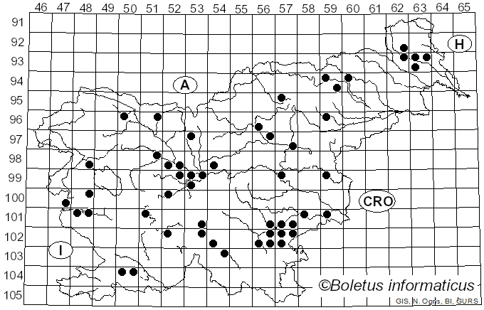 <i>Entoloma clypeatum</i> (L.) P. Kumm. (1871)