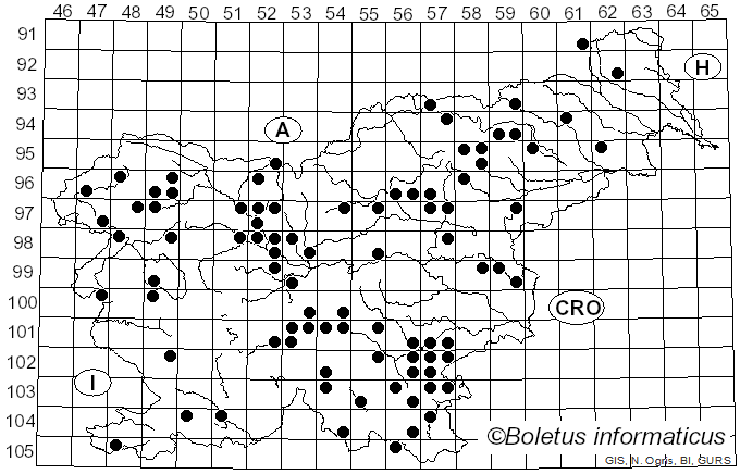 <i>Galerina marginata</i> (Batsch) Kühner (1935)