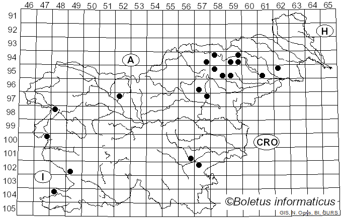 <i>Phlegmacium balteatum</i> (Fr.) A. Blytt (1905)