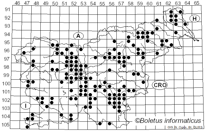 <i>Lyophyllum decastes</i> (Fr.) Singer (1951)