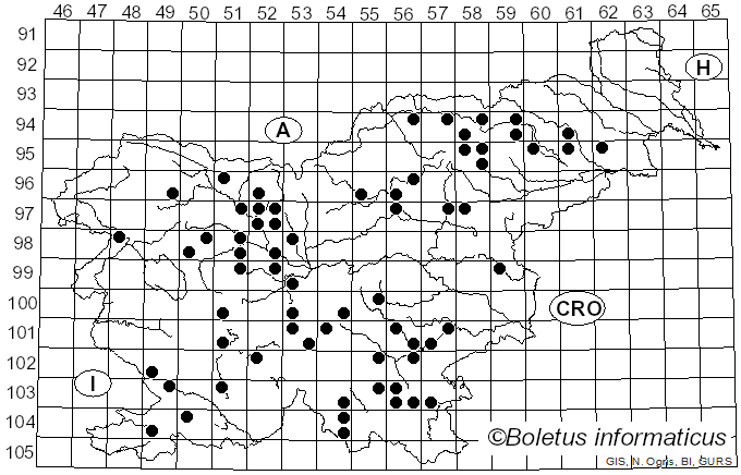 <i>Ischnoderma benzoinum</i> (Wahlenb.) P. Karst. (1881)
