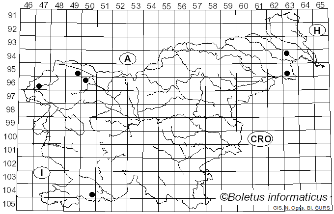 <i>Ciboria coryli</i> (Schellenb.) N.F. Buchw. (1943)