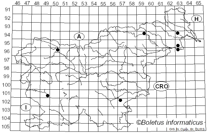 <i>Peroneutypa</i> Berl. (1902)