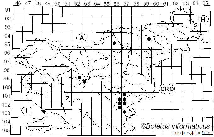 <i>Tricholoma albidum</i> Bon (1984)