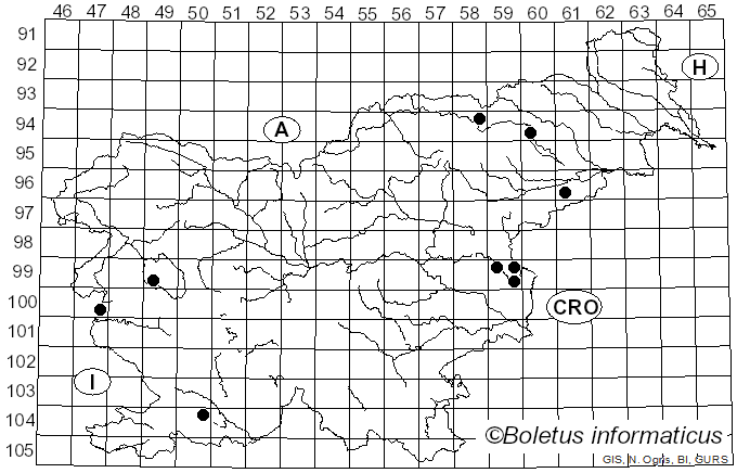 <i>Crinipellis scabella</i> (Alb. & Schwein.) Kuyper (1986)