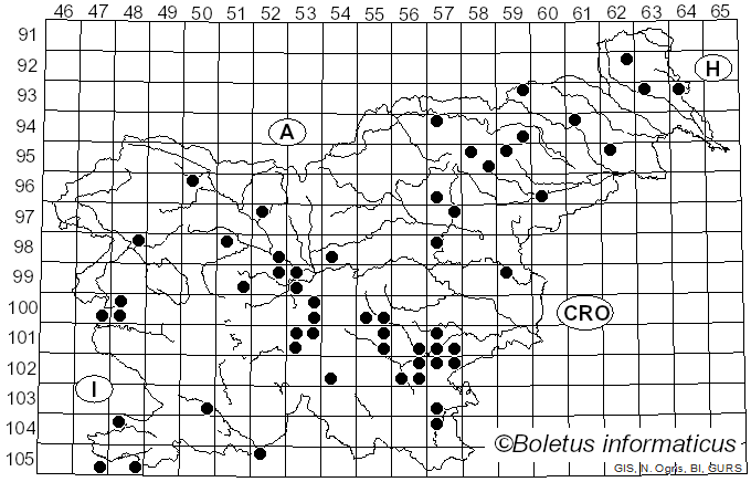 <i>Russula maculata</i> Quél. & Roze (1877)