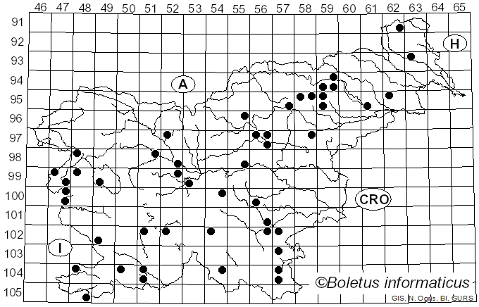 <i>Lactarius controversus</i> (Pers.) Fr. (1799)