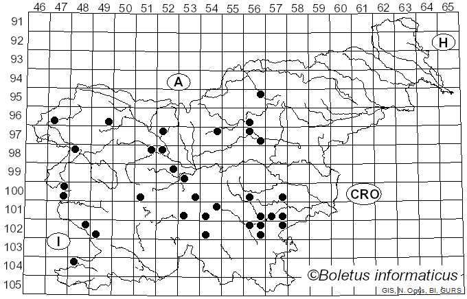 <i>Pholiota lucifera</i> (Lasch) Quél. (1872)