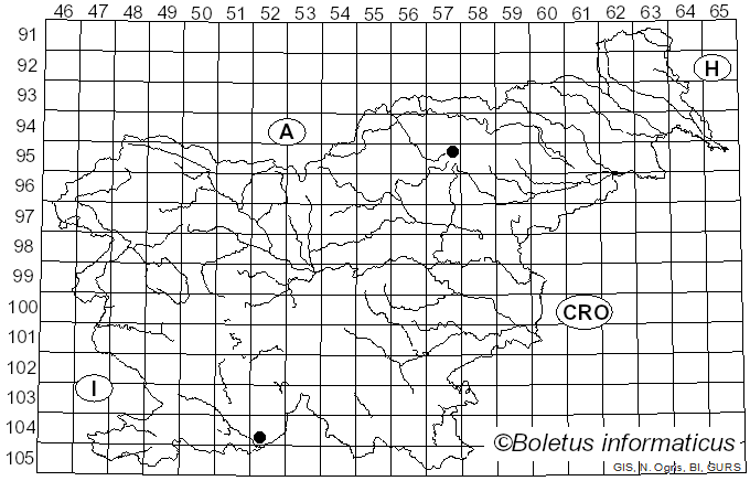 <i>Trichobolus sphaerosporus</i> Kimbr. (1967)