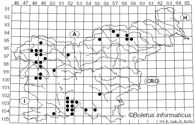<i>Pertusaria hemisphaerica</i> (Flörke) Erichsen (1932)