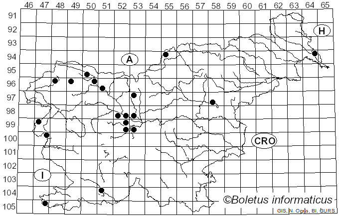 <i>Albugo candida</i> (Pers. ex J.F. Gmel.) Roussel (1806)