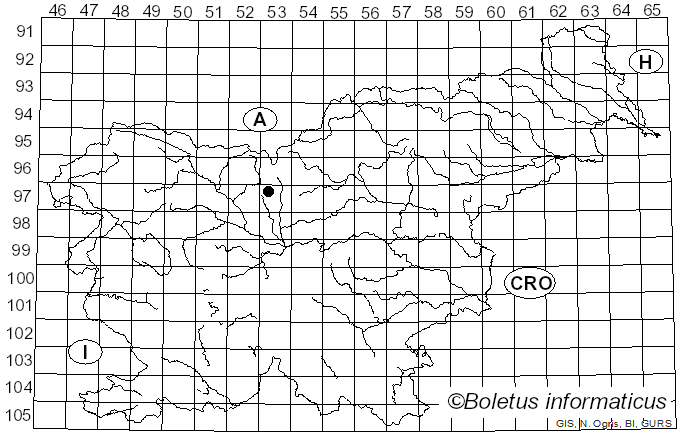 <i>Caeoma miniatum</i> (Pers.) Schltdl. (1824)