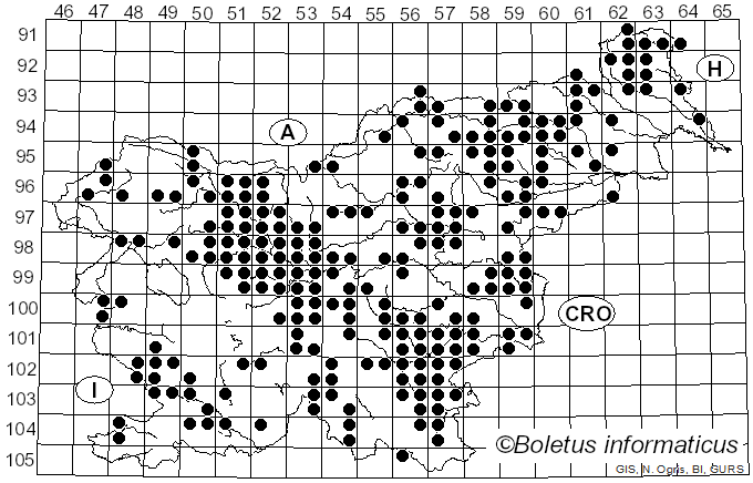 <i>Hypholoma lateritium</i> (Schaeff.) P. Kumm. (1871)