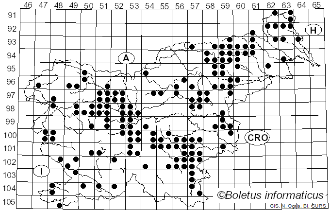 <i>Macrolepiota mastoidea</i> (Fr.) Singer (1951)
