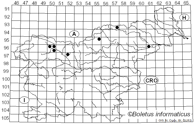 <i>Hypocenomyce scalaris</i> (Ach. ex Lilj.) M. Choisy (1951)