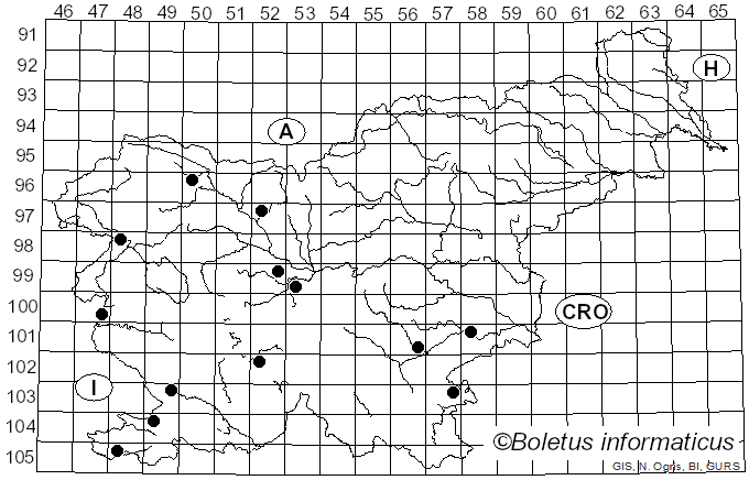 <i>Radulomyces molaris</i> (Chaillet) M.P. Christ. (1960)