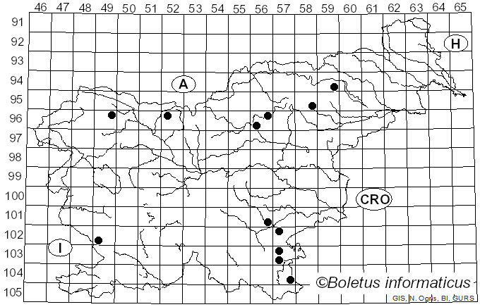 <i>Russula hydrophila</i> Horniček (1958)