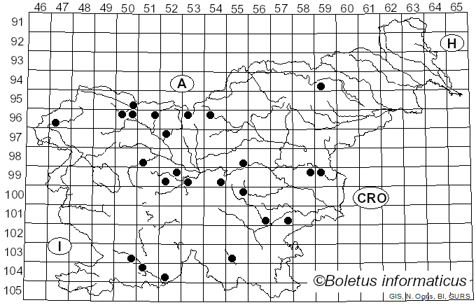 <i>Coprinopsis romagnesiana</i> (Singer) Redhead, Vilgalys & Moncalvo (2001)
