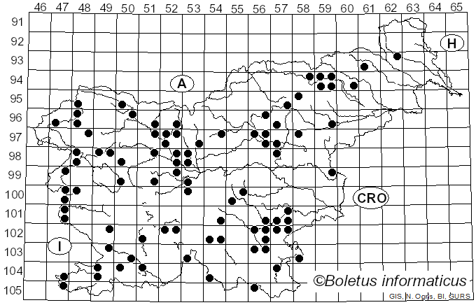 <i>Phellinus pomaceus</i> (Pers.) Maire (1933)