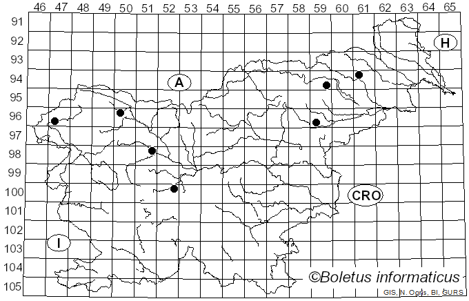 <i>Cystolepiota bucknallii</i> (Berk. & Broome) Singer & Clémençon (1972)