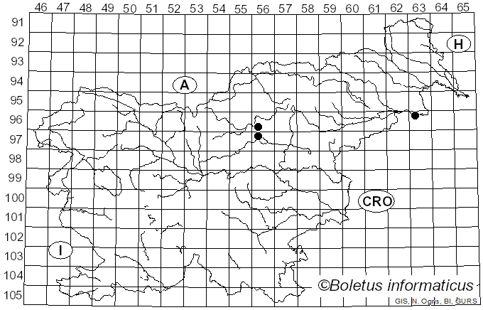 <i>Psathyrella orbitarum</i> (Romagn.) M.M. Moser (1967)