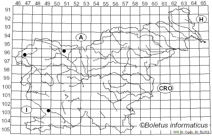 <i>Resupinatus striatulus</i> (Pers.) Murrill (1915)