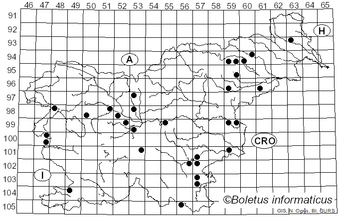 <i>Cyathus olla</i> (Batsch) Pers. (1801)