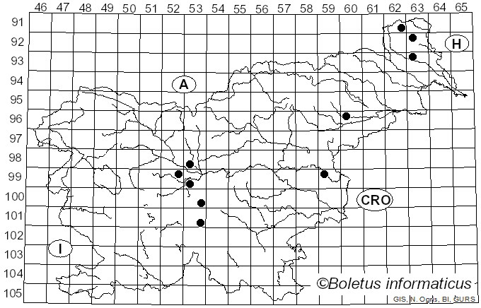 <i>Sarcodon amarescens</i> (Quél.) Quél. (1883)