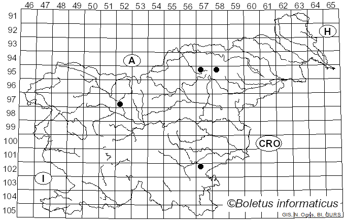 <i>Neoboletus praestigiator</i> (R. Schulz) Svetash., Gelardi, Simonini & Vizzini (2016)