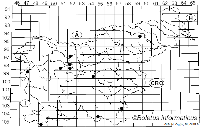 <i>Daldinia vernicosa</i> (Schwein.) Ces. & De Not. (1863)