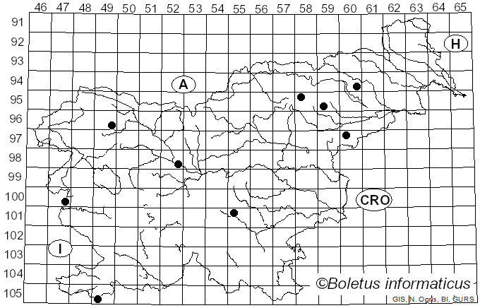 <i>Scutellinia trechispora</i> (Berk. & Broome) Lambotte (1887)