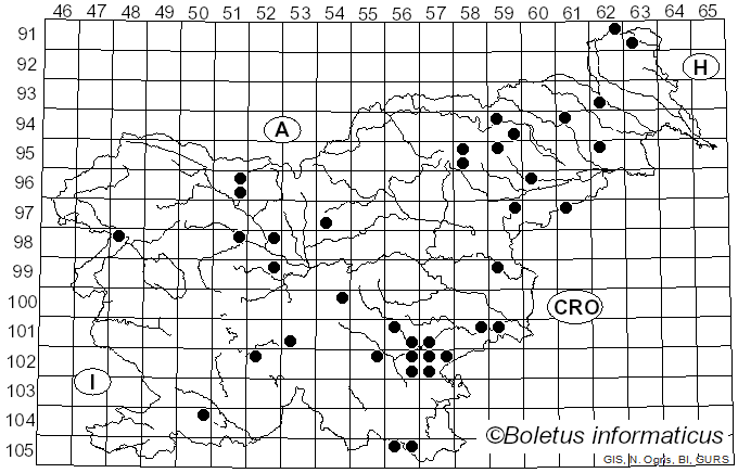 <i>Chlorociboria aeruginosa</i> (Oeder) Seaver ex C.S. Ramamurthi, Korf & L.R. Batra (1958)