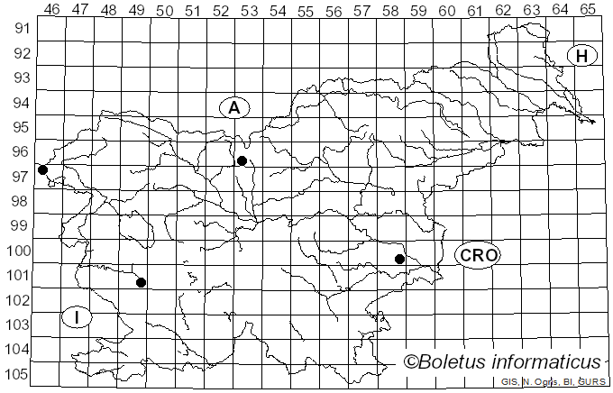 <i>Zythiostroma pinastri</i> (P. Karst.) Höhn. (1931)