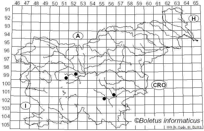 <i>Vesiculomyces citrinus</i> (Pers.) E. Hagstr. (1977)